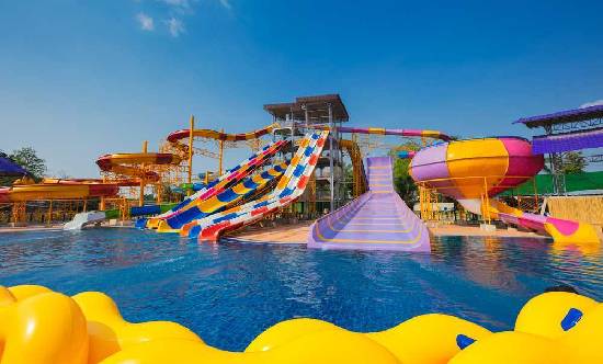 VGP Universal Kingdom